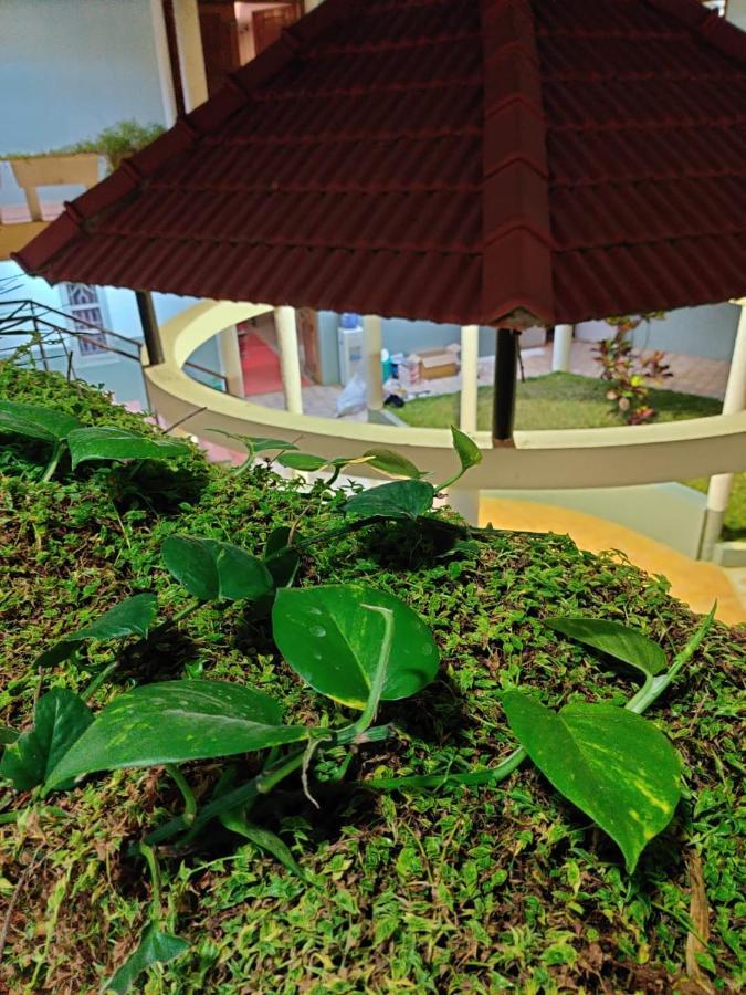 Nisarga Resort Kaglipur Экстерьер фото